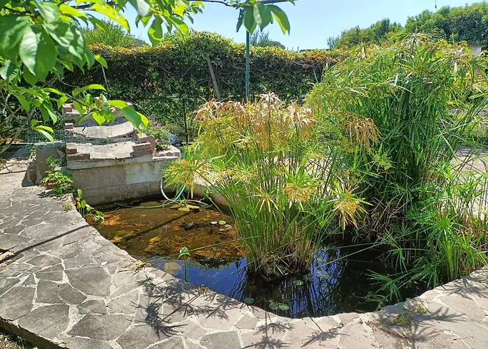 Il Giardino Degli Ulivi