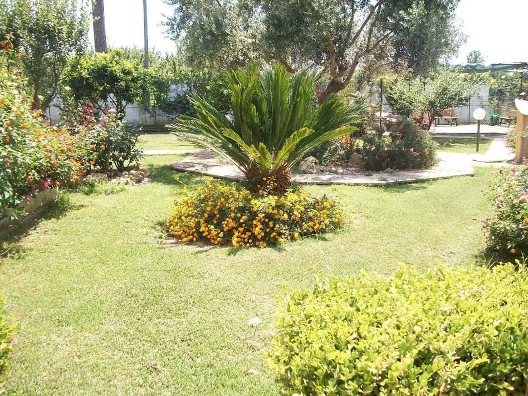 Il Giardino Degli Ulivi Apartment Giugliano In Campania