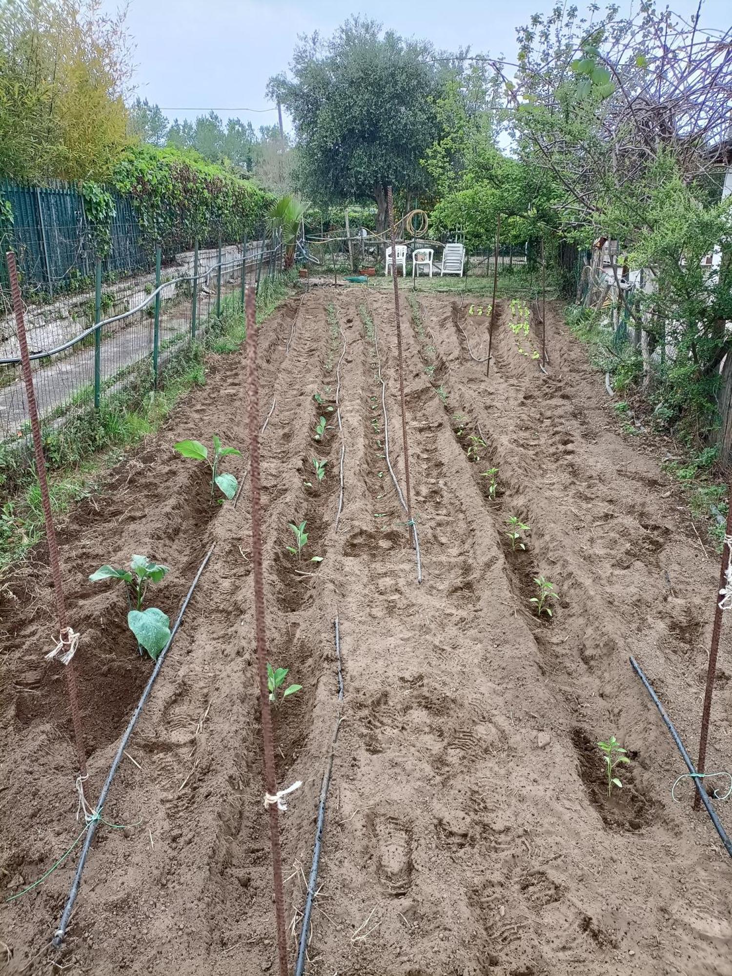Il Giardino Degli Ulivi