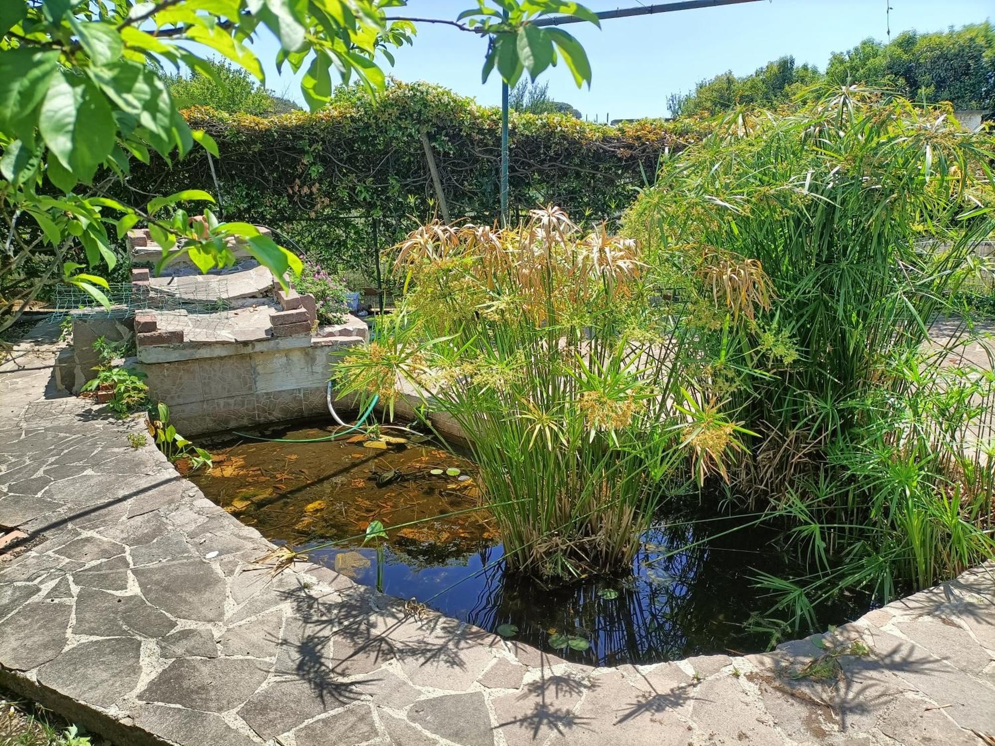 Il Giardino Degli Ulivi
