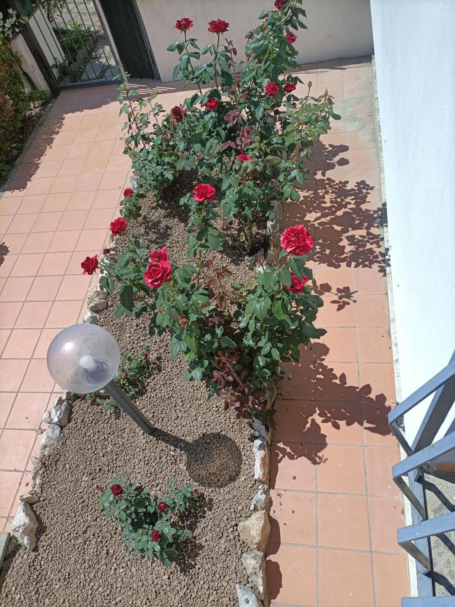 Apartment Il Giardino Degli Ulivi Giugliano In Campania
